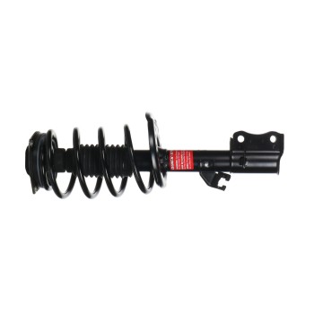 Suspension Strut and Coil Spring Assembly