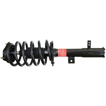 Suspension Strut and Coil Spring Assembly