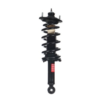 Suspension Strut and Coil Spring Assembly