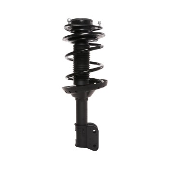 Suspension Strut and Coil Spring Assembly