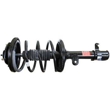 Suspension Strut and Coil Spring Assembly