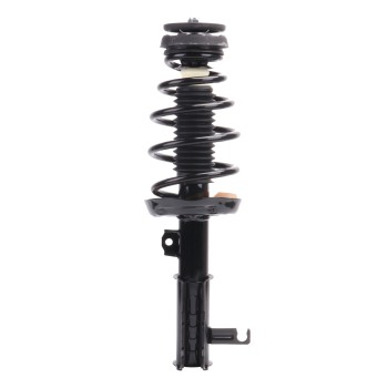 Suspension Strut and Coil Spring Assembly