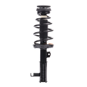 Suspension Strut and Coil Spring Assembly