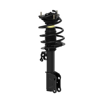 Suspension Strut and Coil Spring Assembly