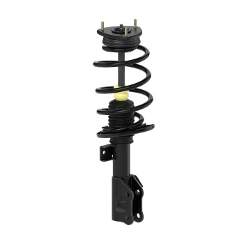 Suspension Strut and Coil Spring Assembly