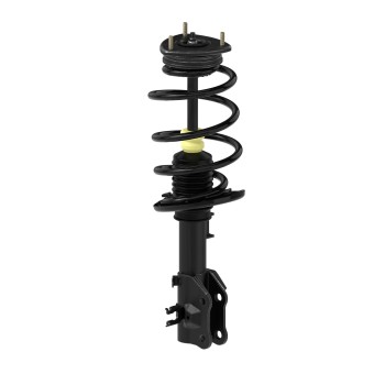 Suspension Strut and Coil Spring Assembly