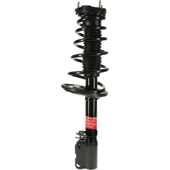 Suspension Strut and Coil Spring Assembly