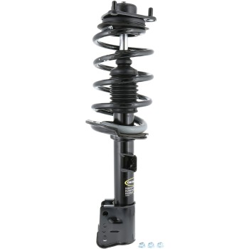 Suspension Strut and Coil Spring Assembly