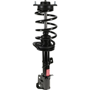 Suspension Strut and Coil Spring Assembly