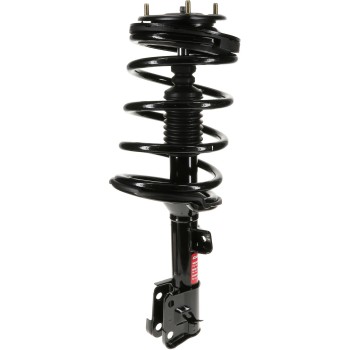 Suspension Strut and Coil Spring Assembly