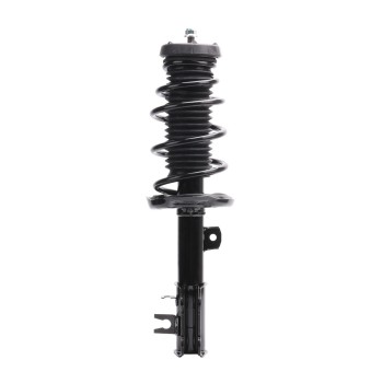 Suspension Strut and Coil Spring Assembly