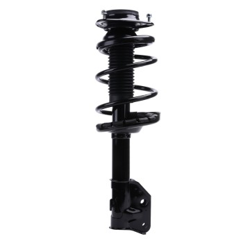 Suspension Strut and Coil Spring Assembly