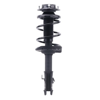 Suspension Strut and Coil Spring Assembly