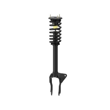 Suspension Strut and Coil Spring Assembly