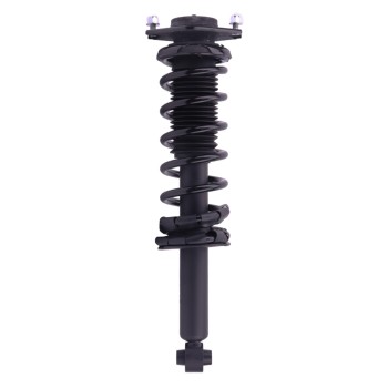 Suspension Strut and Coil Spring Assembly