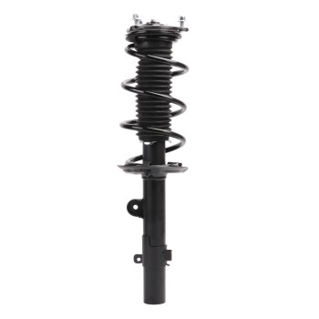 Suspension Strut and Coil Spring Assembly