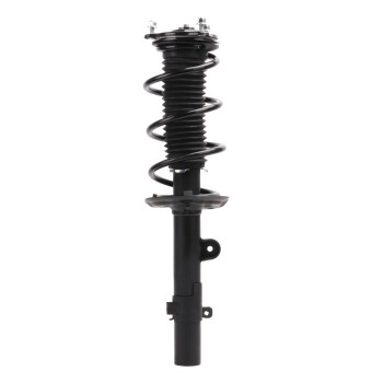 Suspension Strut and Coil Spring Assembly