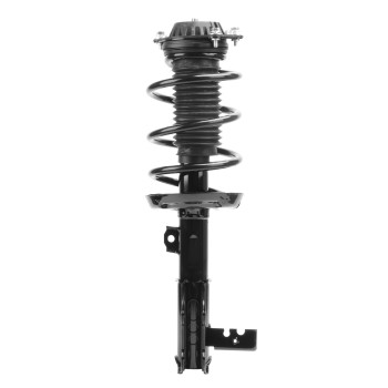 Suspension Strut and Coil Spring Assembly