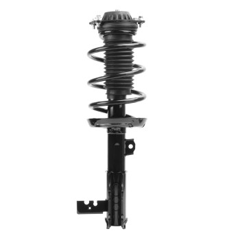 Suspension Strut and Coil Spring Assembly
