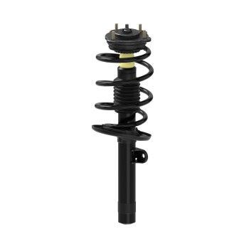 Suspension Strut and Coil Spring Assembly