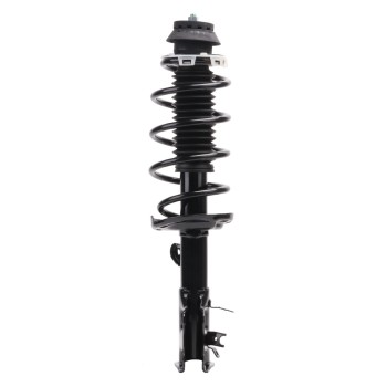 Suspension Strut and Coil Spring Assembly
