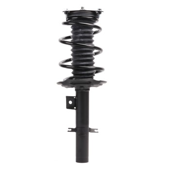 Suspension Strut and Coil Spring Assembly