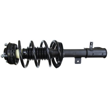 Suspension Strut and Coil Spring Assembly
