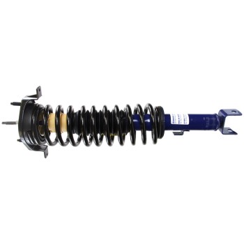 Suspension Strut and Coil Spring Assembly