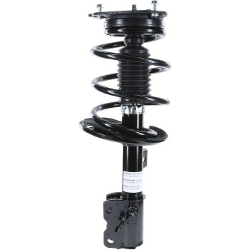 Suspension Strut and Coil Spring Assembly