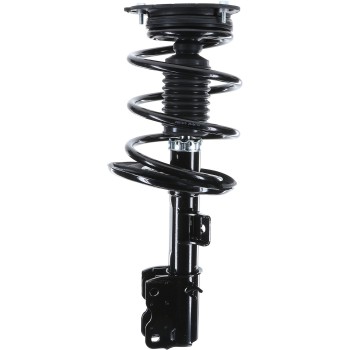 Suspension Strut and Coil Spring Assembly