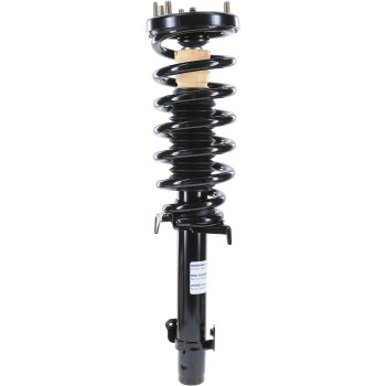 Suspension Strut and Coil Spring Assembly