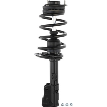 Suspension Strut and Coil Spring Assembly