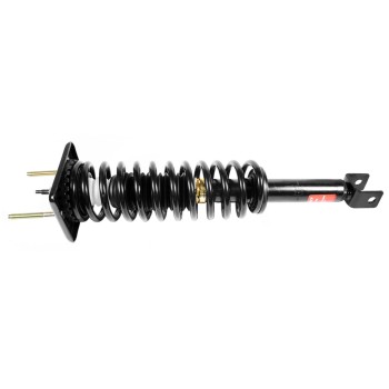 Suspension Strut and Coil Spring Assembly
