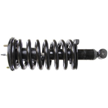 Suspension Strut and Coil Spring Assembly