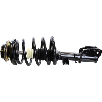 Suspension Strut and Coil Spring Assembly