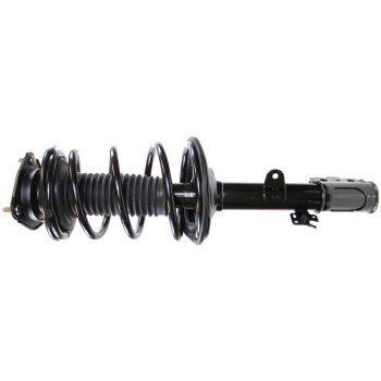 Suspension Strut and Coil Spring Assembly