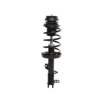 Suspension Strut and Coil Spring Assembly