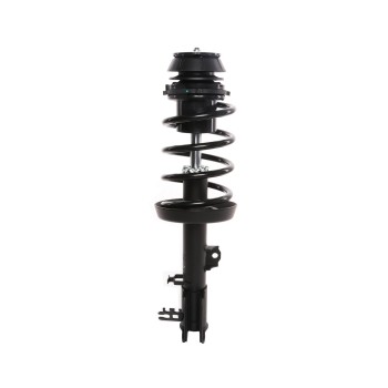 Suspension Strut and Coil Spring Assembly