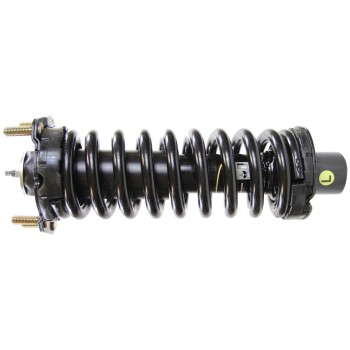 Suspension Strut and Coil Spring Assembly