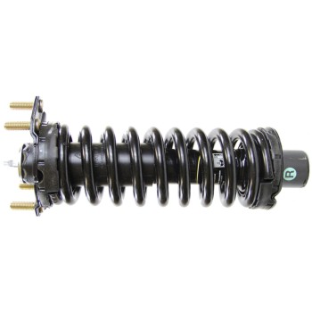 Suspension Strut and Coil Spring Assembly