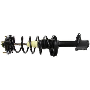 Suspension Strut and Coil Spring Assembly