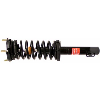 Suspension Strut and Coil Spring Assembly