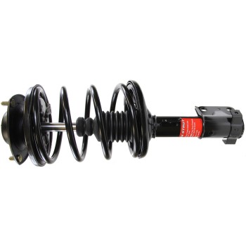 Suspension Strut and Coil Spring Assembly