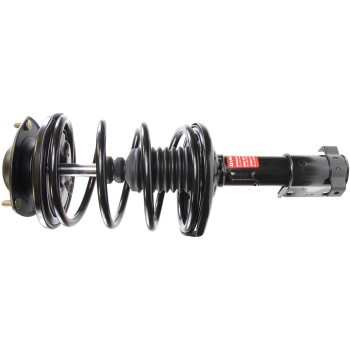 Suspension Strut and Coil Spring Assembly