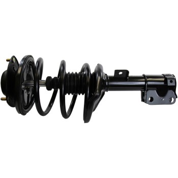 Suspension Strut and Coil Spring Assembly