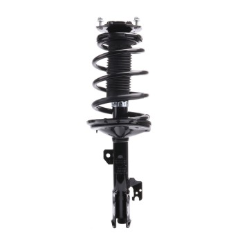 Suspension Strut and Coil Spring Assembly