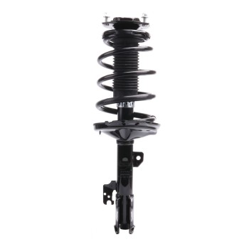 Suspension Strut and Coil Spring Assembly
