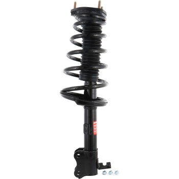 Suspension Strut and Coil Spring Assembly