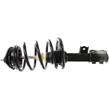 Suspension Strut and Coil Spring Assembly