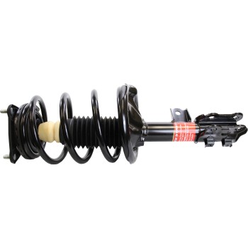 Suspension Strut and Coil Spring Assembly